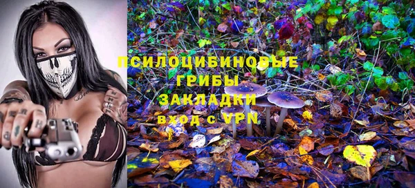 экстази Щигры